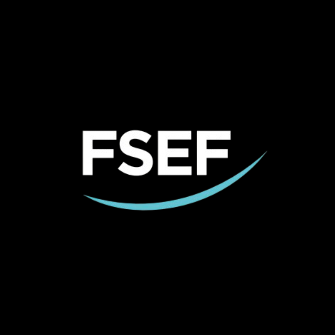 Logo FSEF
